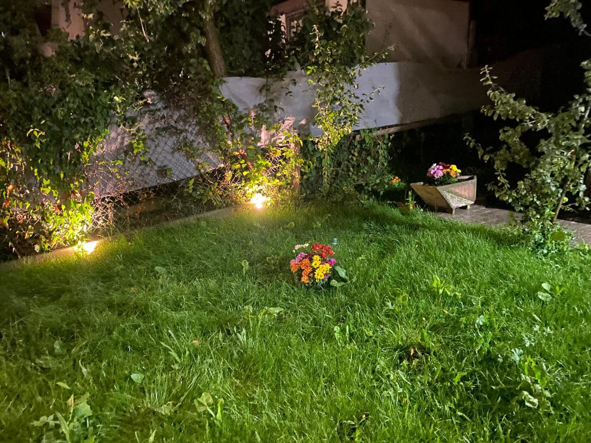 Eden In Vitry Logement Entier מראה חיצוני תמונה